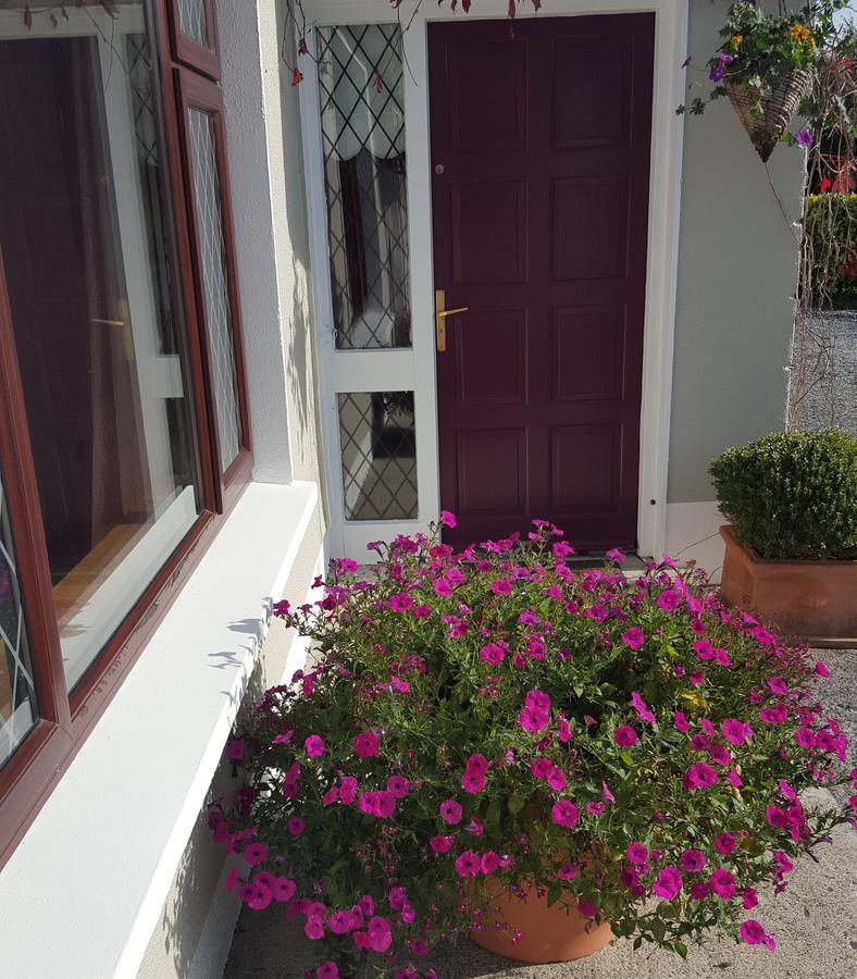 Ely House B&B Shannonbridge 외부 사진