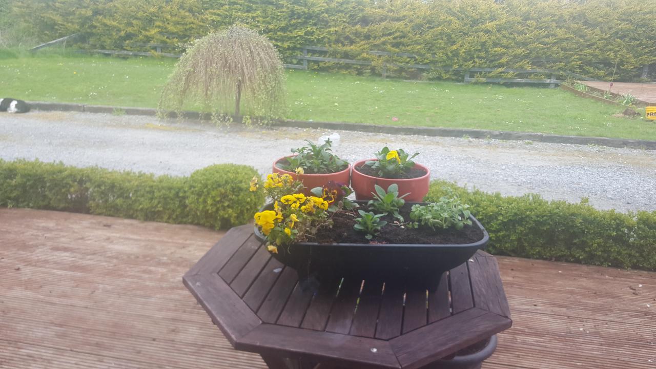 Ely House B&B Shannonbridge 외부 사진